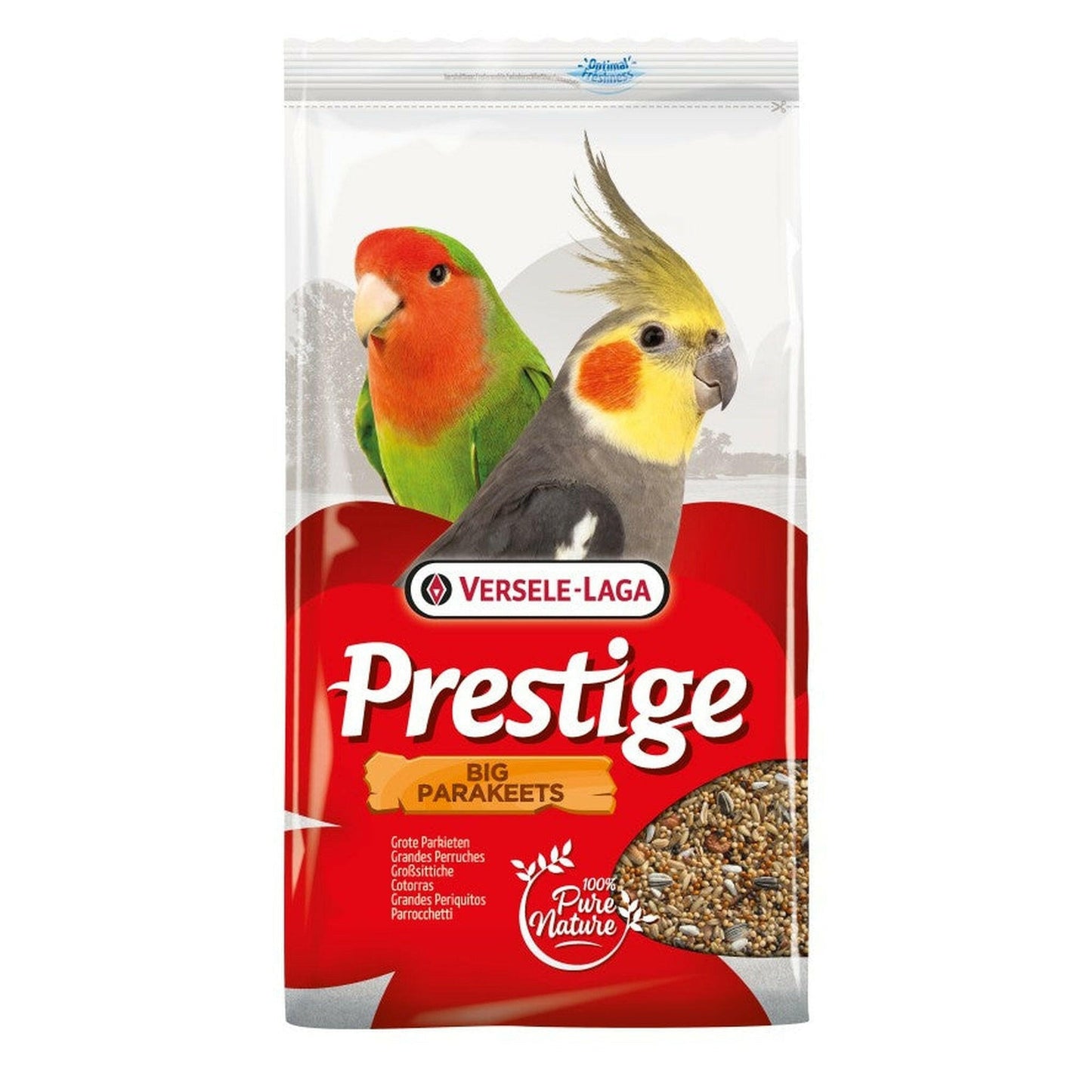 Prestige Großsittiche