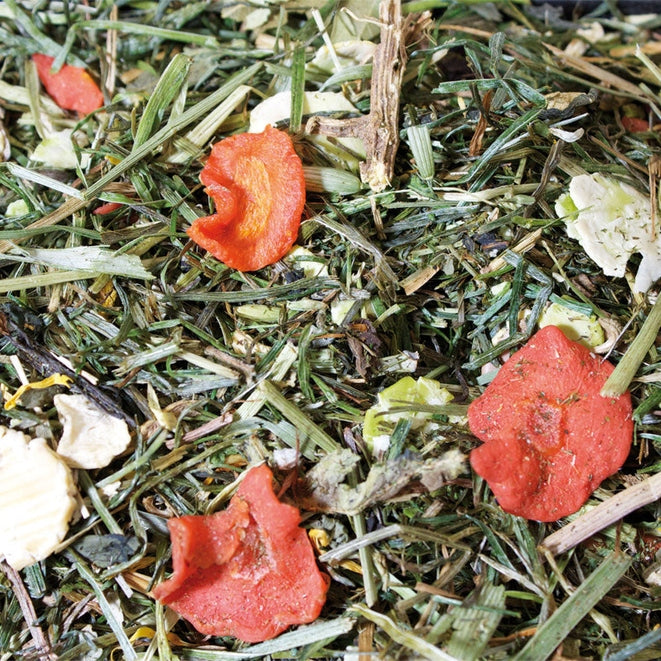 JR Grainless Herbs Meerschweinchen