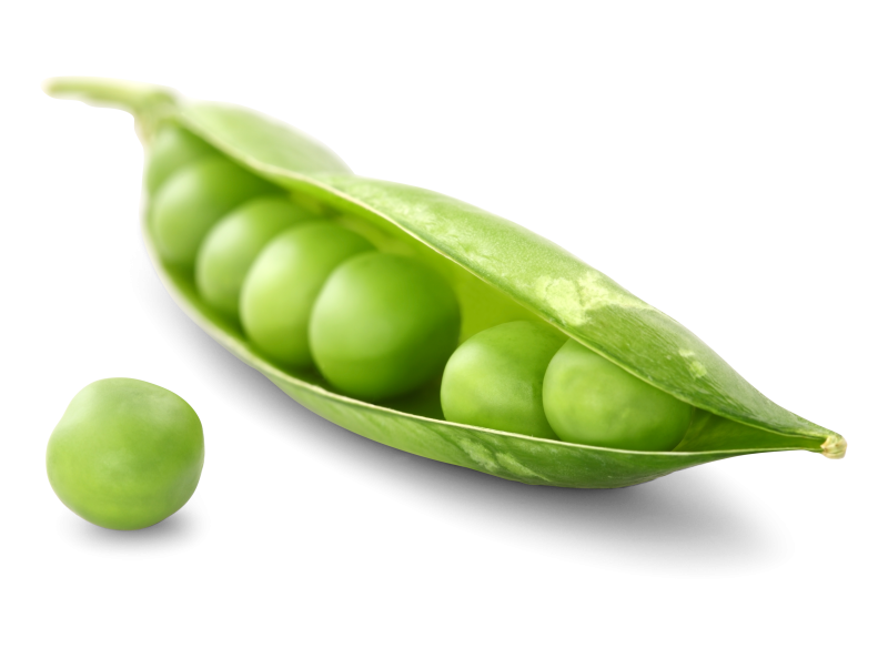 Erbsen