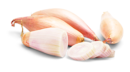 Schalotten