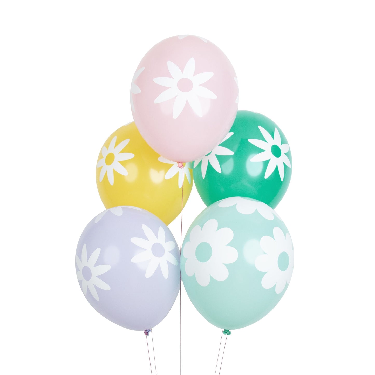 Daisy Luftballons