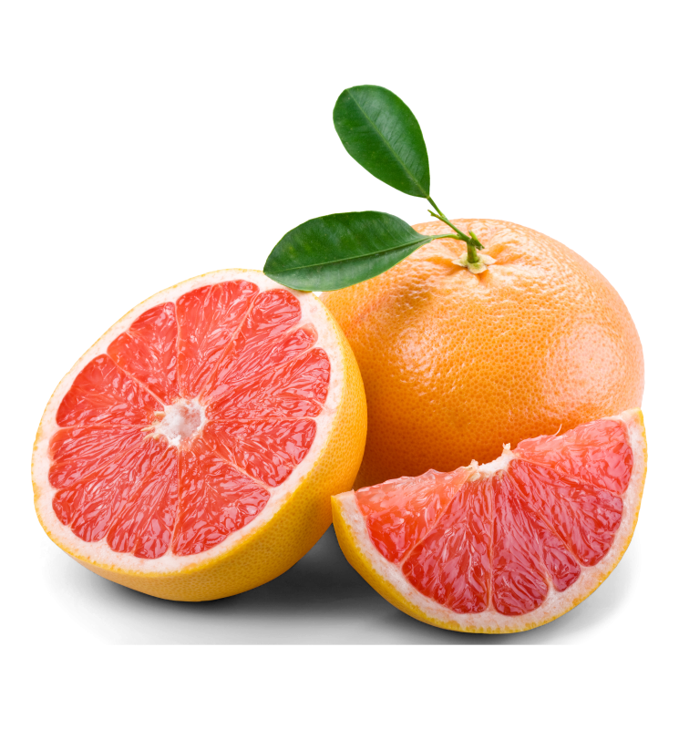 Grapefruit rot