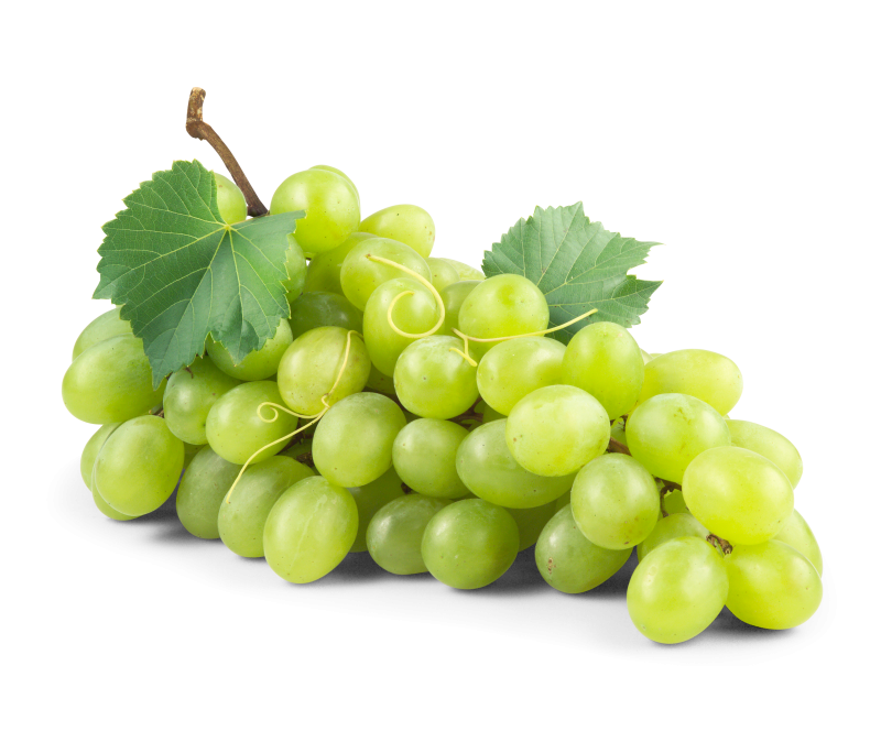Trauben kernlos weiß