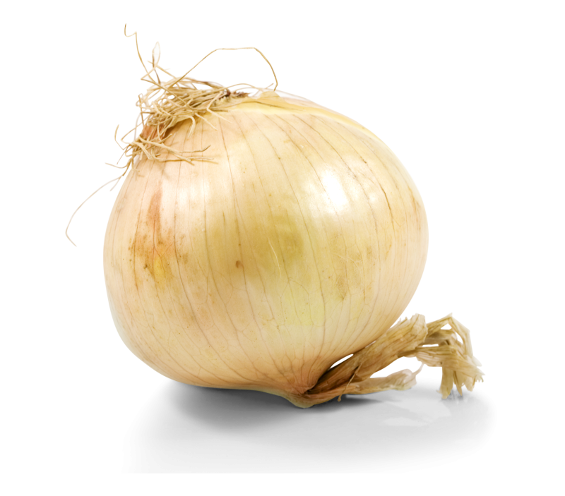 Zwiebel süß