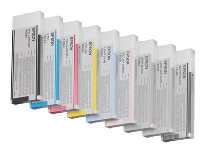 EPSON 5LB T6066 ink cartridge light mag