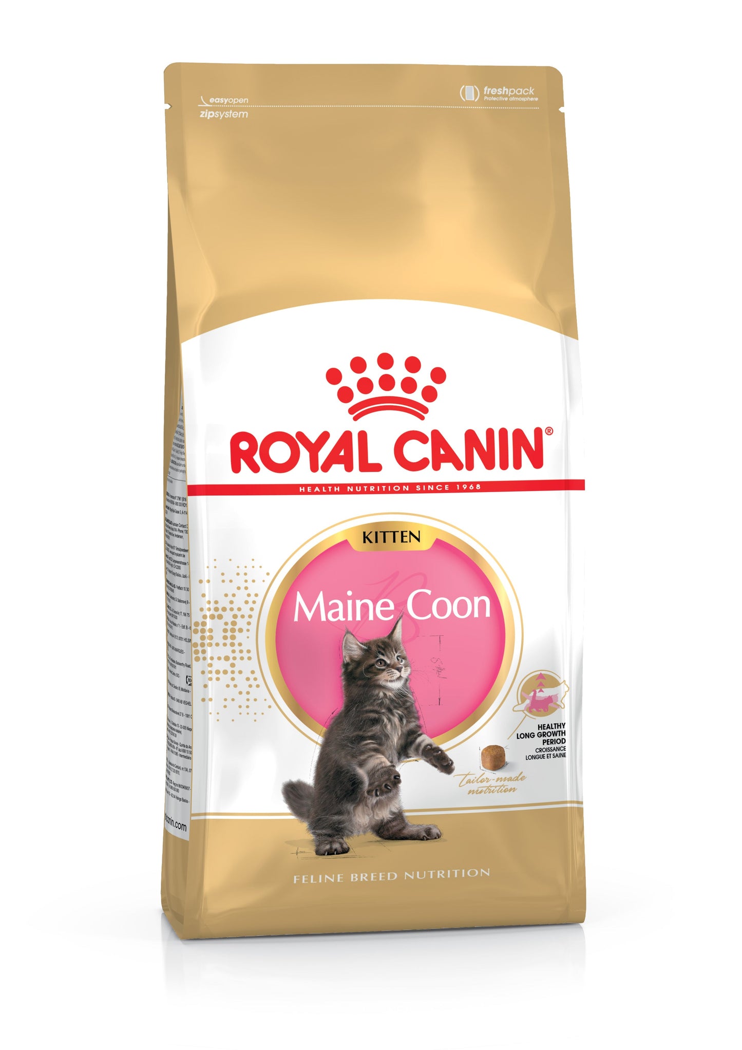 Royal Canin Feline Maine Coon Kitten