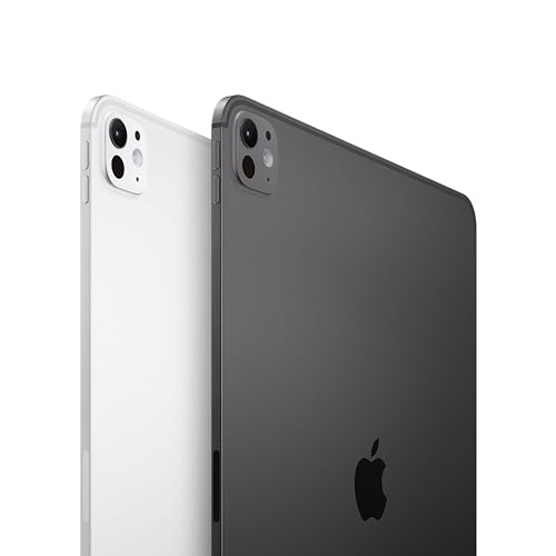 Apple iPad Pro - M4 / 13 Zoll