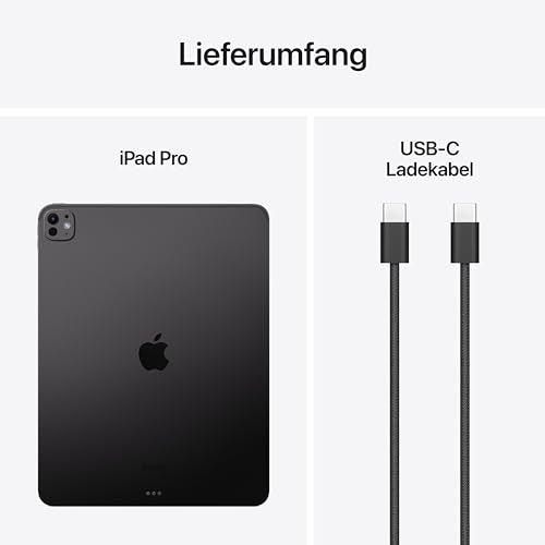 Apple iPad Pro - M4 / 13 Zoll