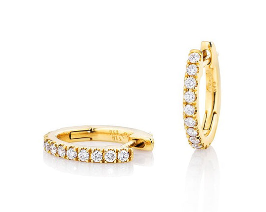 Kreolen von Capolavoro OC7BRW01260