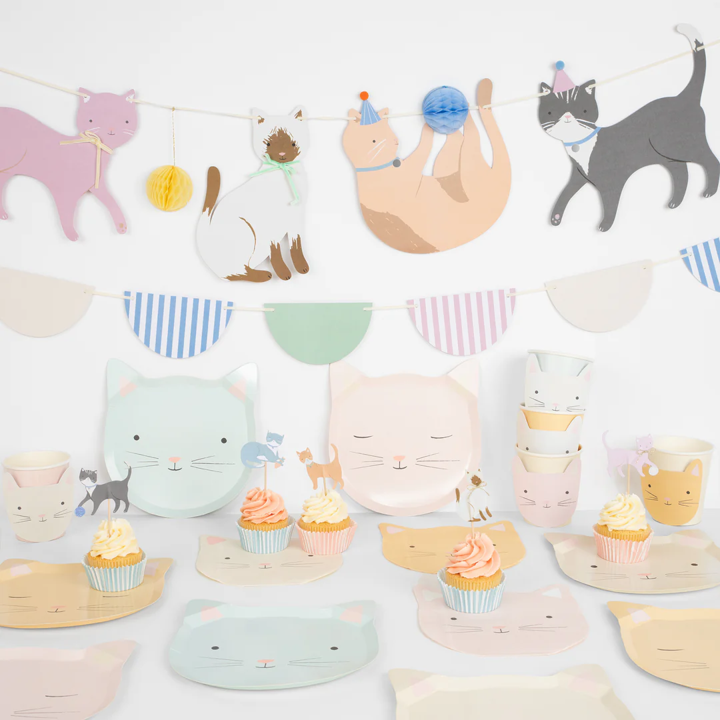 Cute Kittens Partybox (8 Personen)