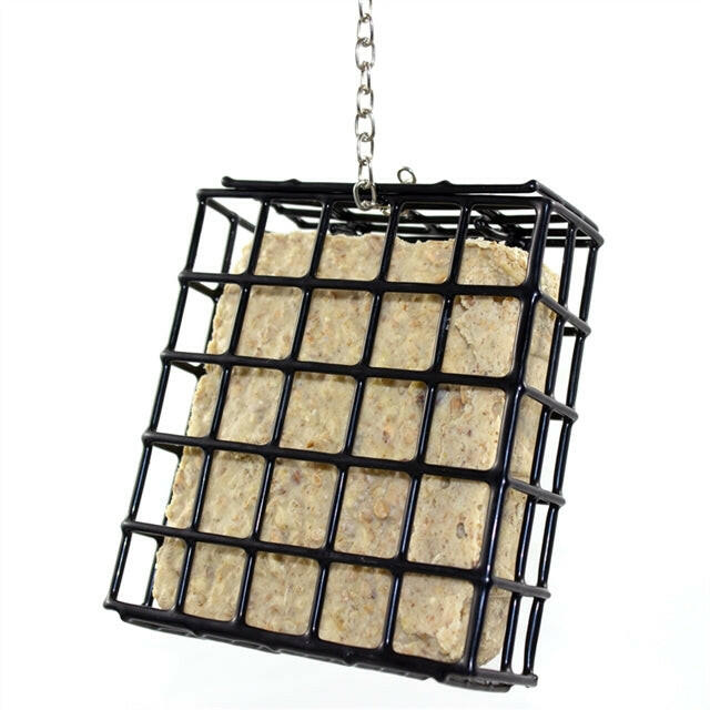 Nat-Pfi Vogel-Buffet Spendbox