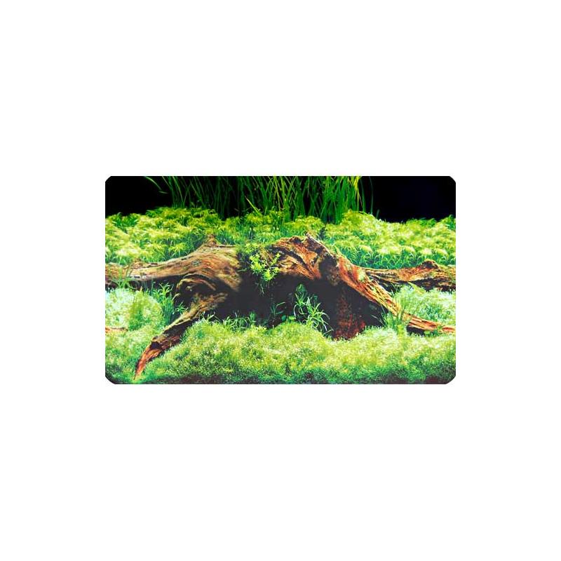 Dohse HOBBY Fotorückwand Spring / Moss