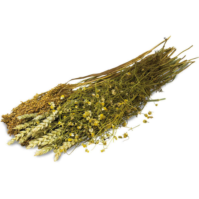 JR Farm Ein Stück Natur 80g