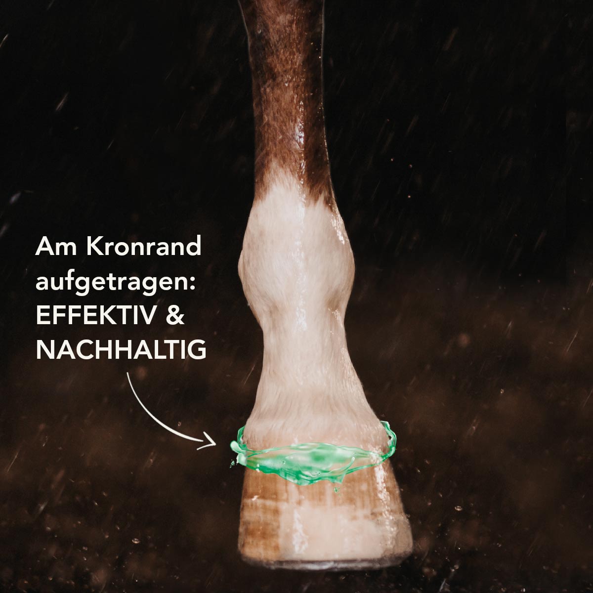 St. Hippolyt Ungulat Hoof Lotion