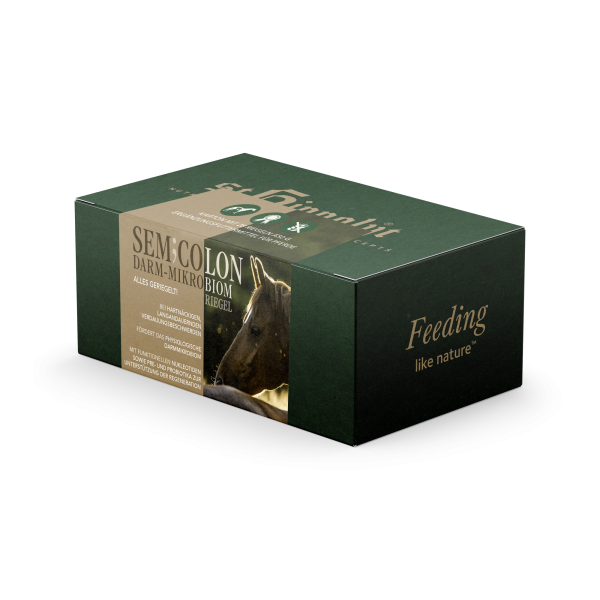 St. Hippolyt SemiColon Riegel