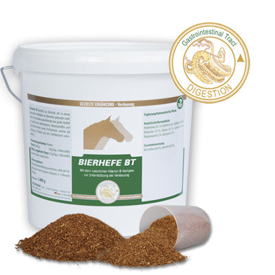 Equipower Bierhefe BT