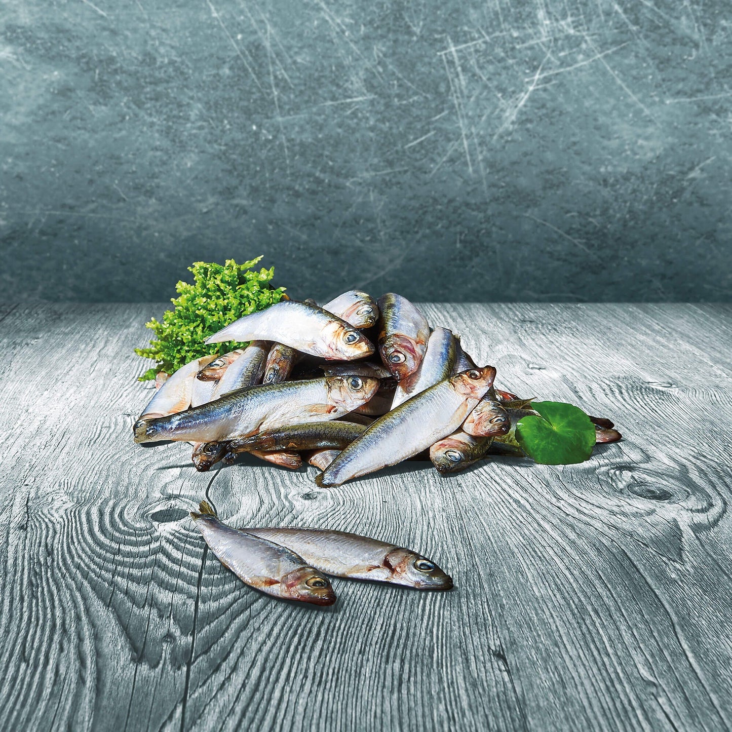 BARFER'S CHOICE - Sprotten im Ganzen