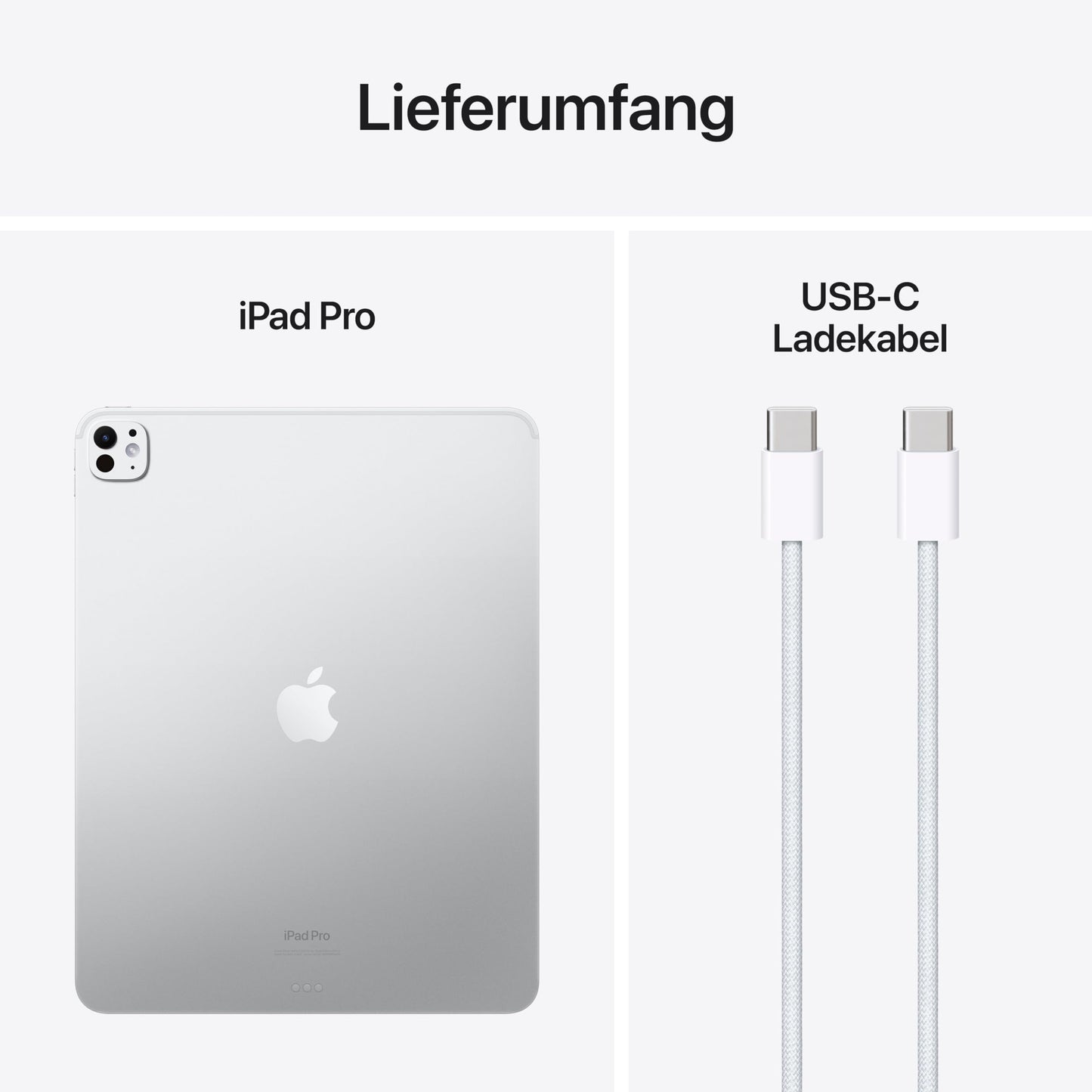 Apple iPad Pro - M4 / 13 Zoll