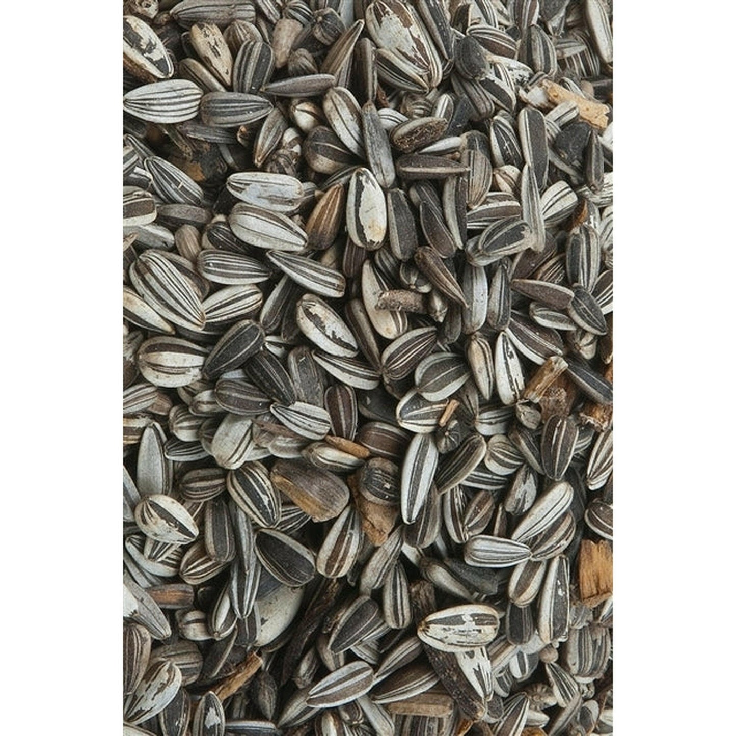Pfiffikus Sonnenblumenkerne gestreift