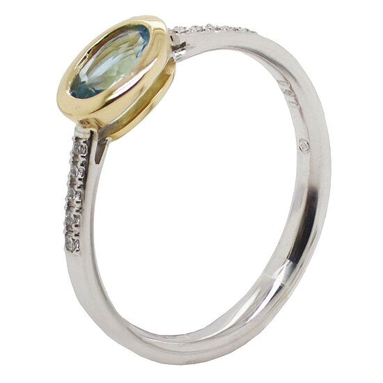 Ring von Heinz Mayer PP-217