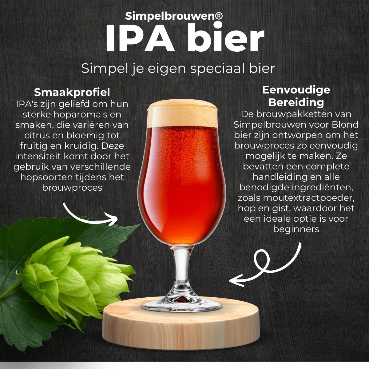 STARTER PLUS - Bier brauen