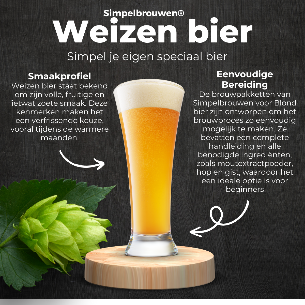 STARTER PLUS - Bier brauen