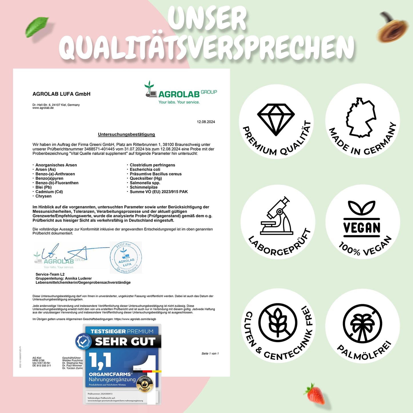 VITALQUELLE - Superfood Smoothie Pulver