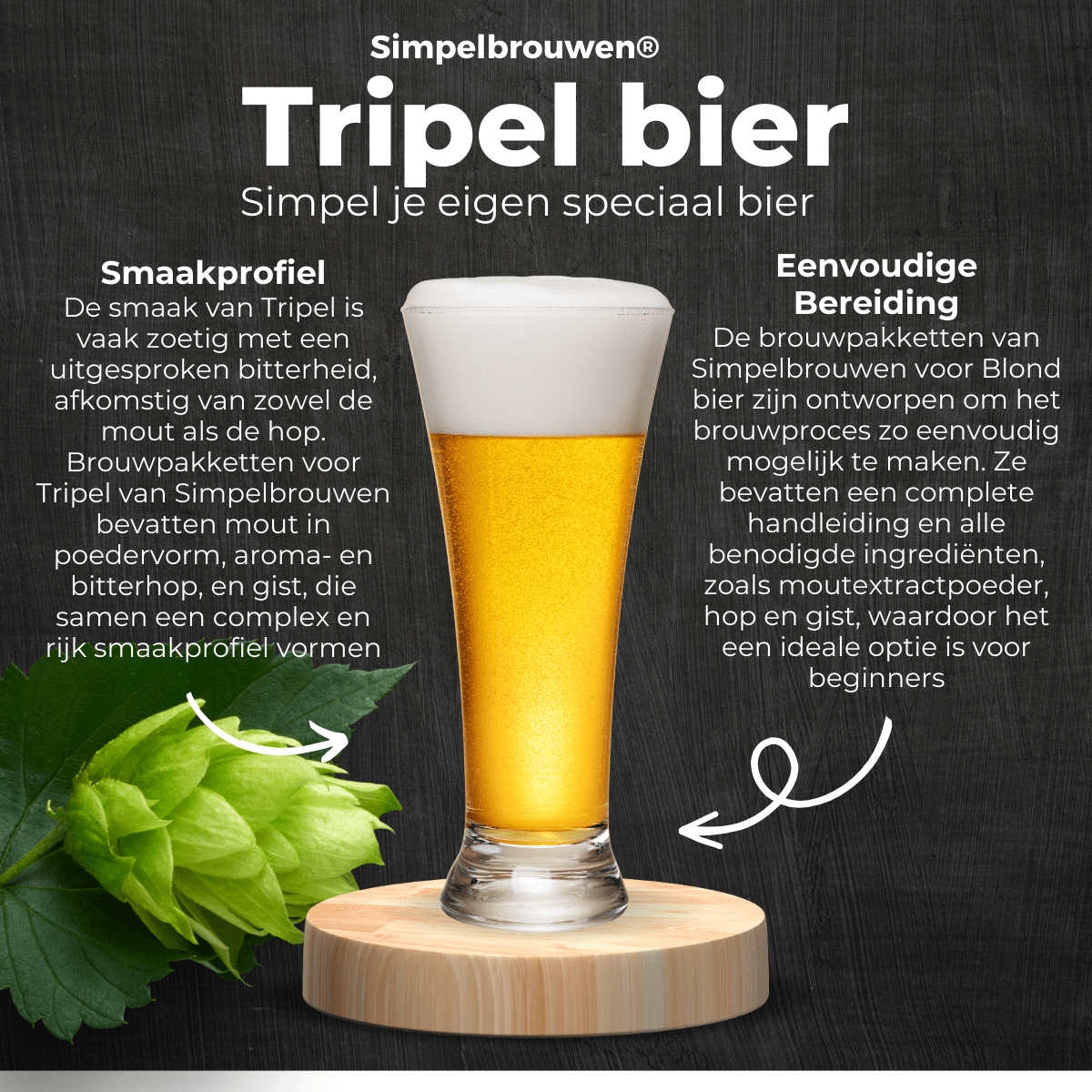 STARTER PLUS - Bier brauen