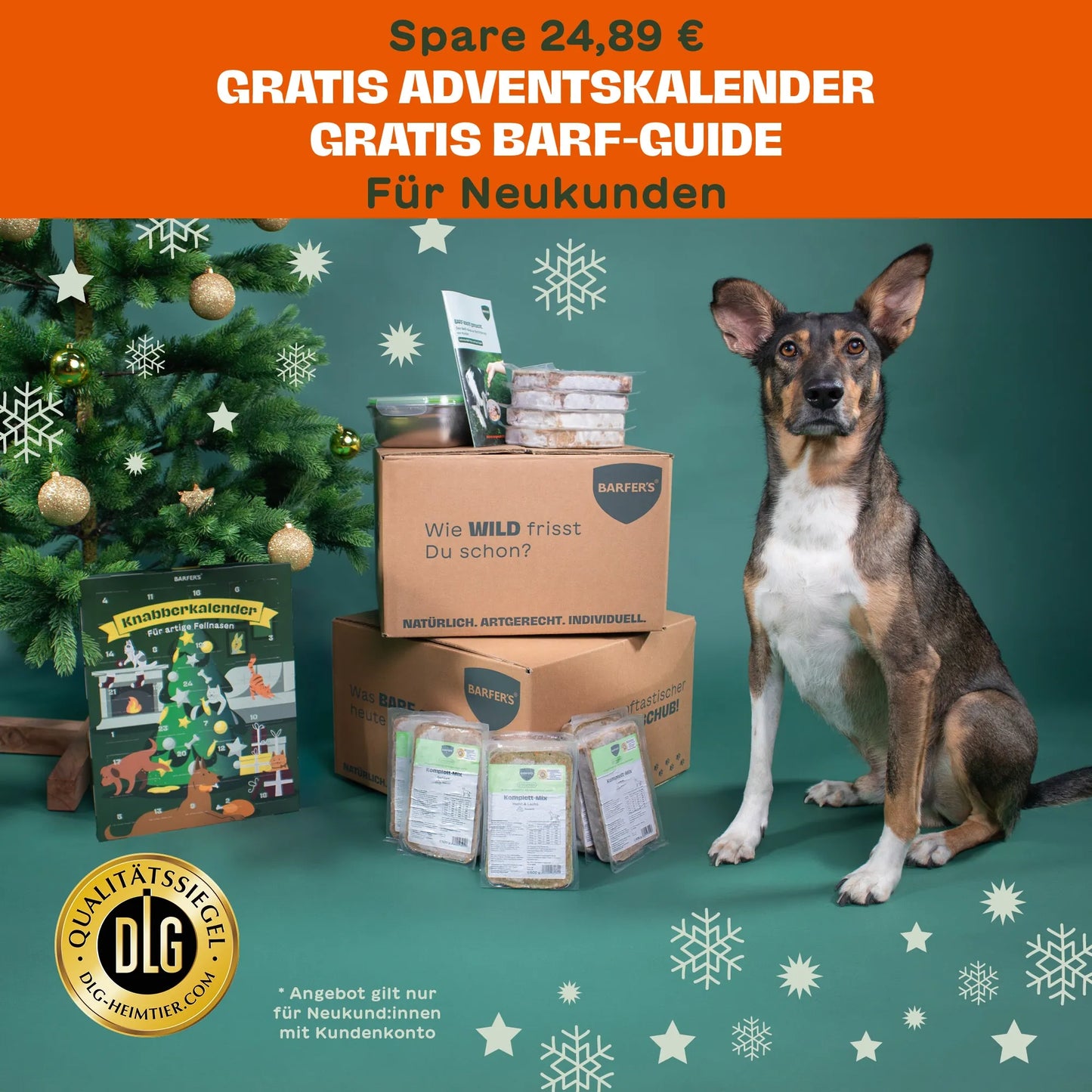 BARFER'S COMPLETE - NEU Advents-Probierpaket für Hunde