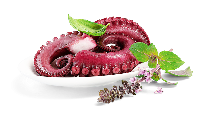 Pulpo gekocht
