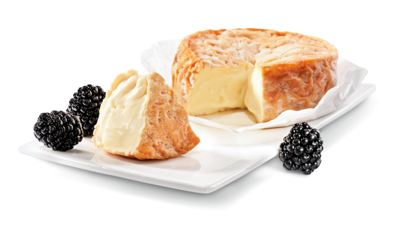 Epoisses AOP Rohmilch, mind. 50% Fett i. Tr.