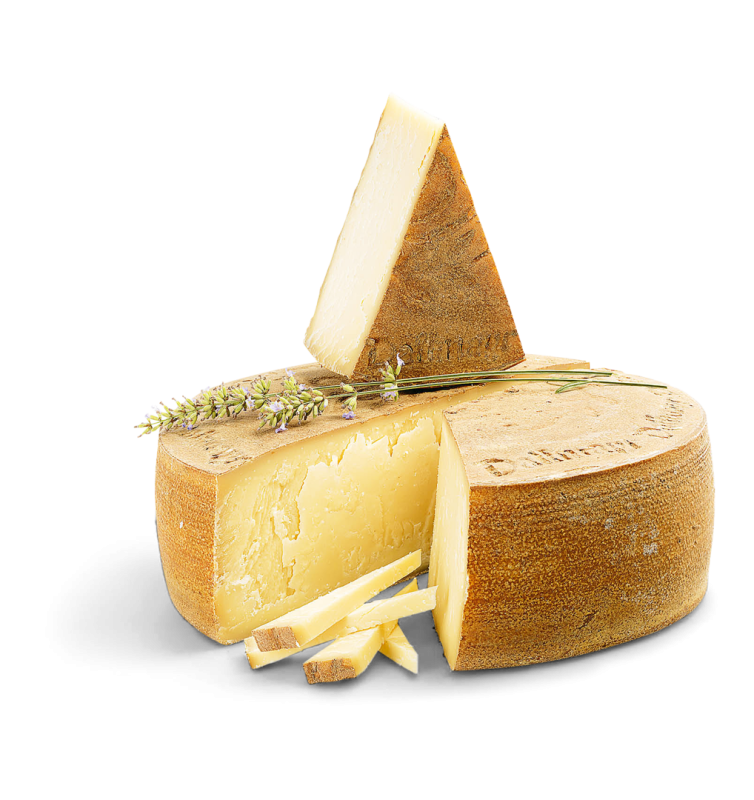 Hoflieferantenlaib Rohmilch, mind. 50% Fett i. Tr.
