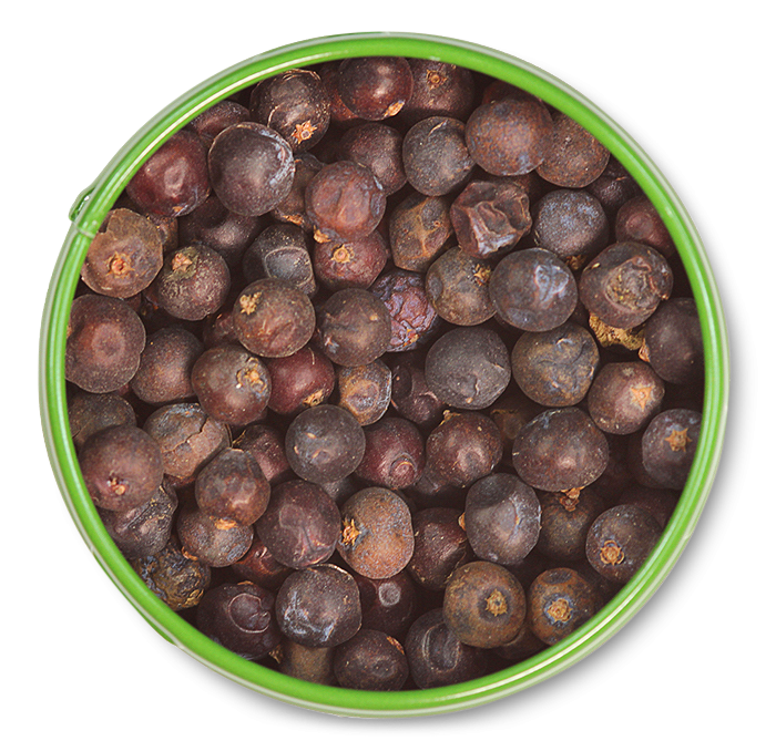 Wacholderbeeren