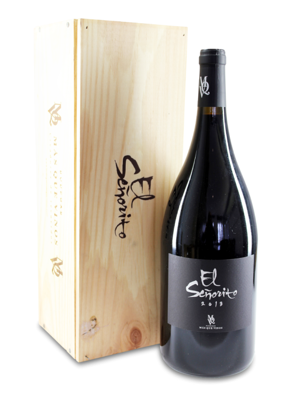 2013 El Señorito de Ercavio