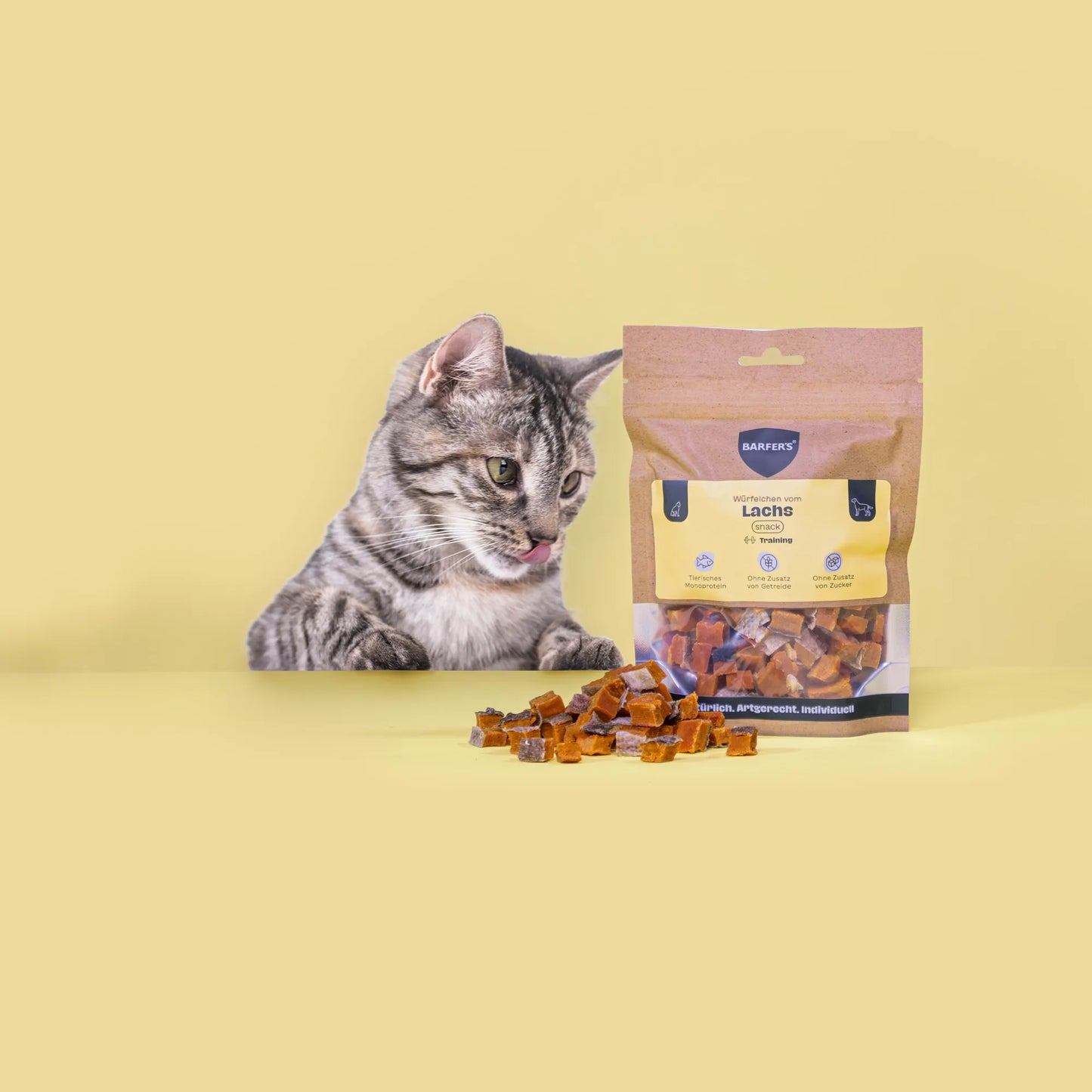 BARFER'S SNACK - Würfelchen vom Lachs