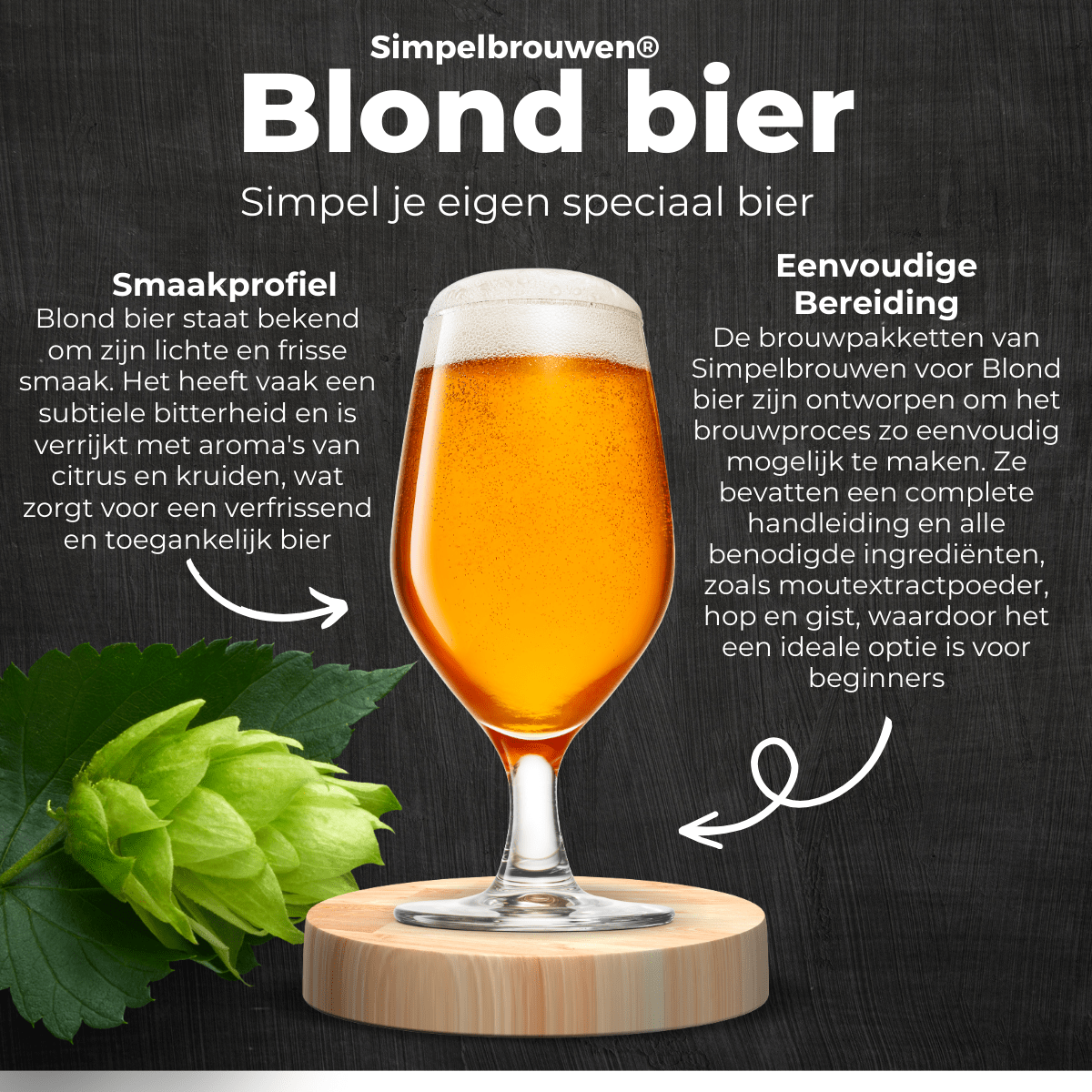 STARTER PLUS - Bier brauen