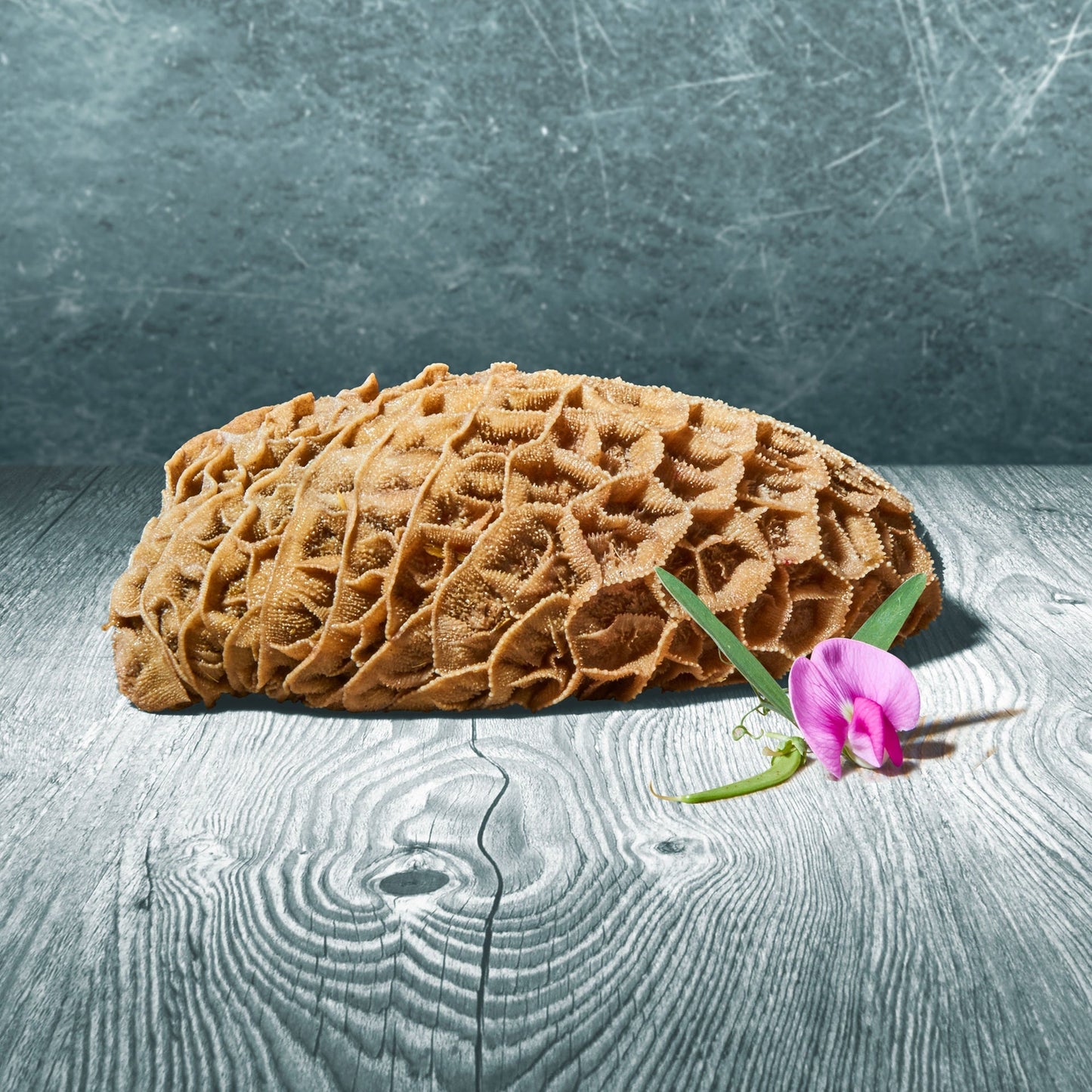 BARFER'S CHOICE - Rinderpansen im Stück