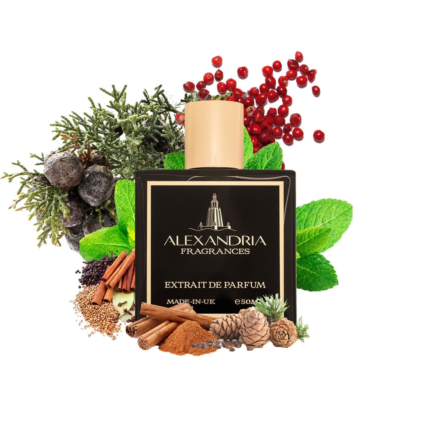 Italian Forest Inspired ByTom Ford's Italian Cypress