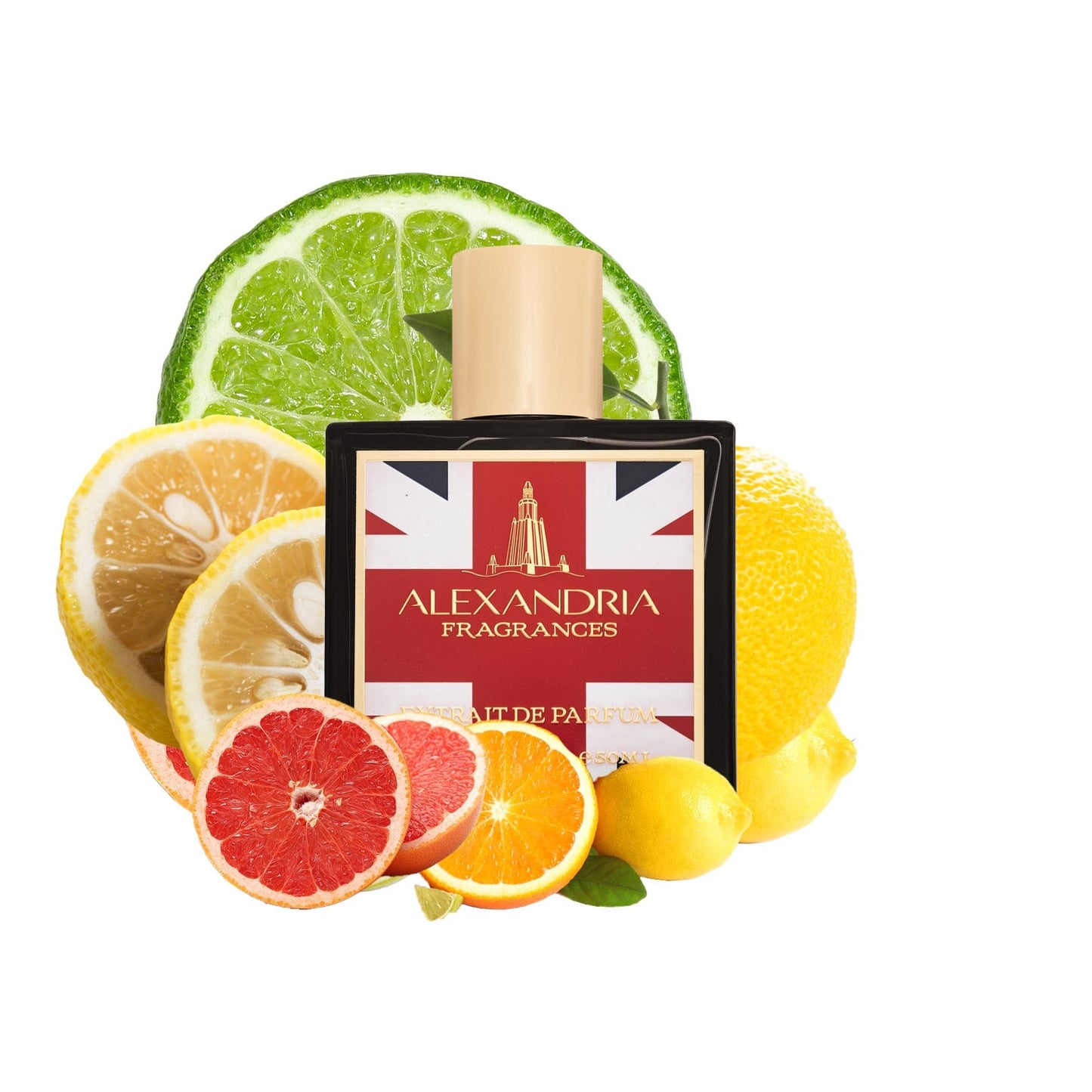 Blu Eagle (UK Exclusive) Inspired by Royal Eagle Sport by Stefano Ricci