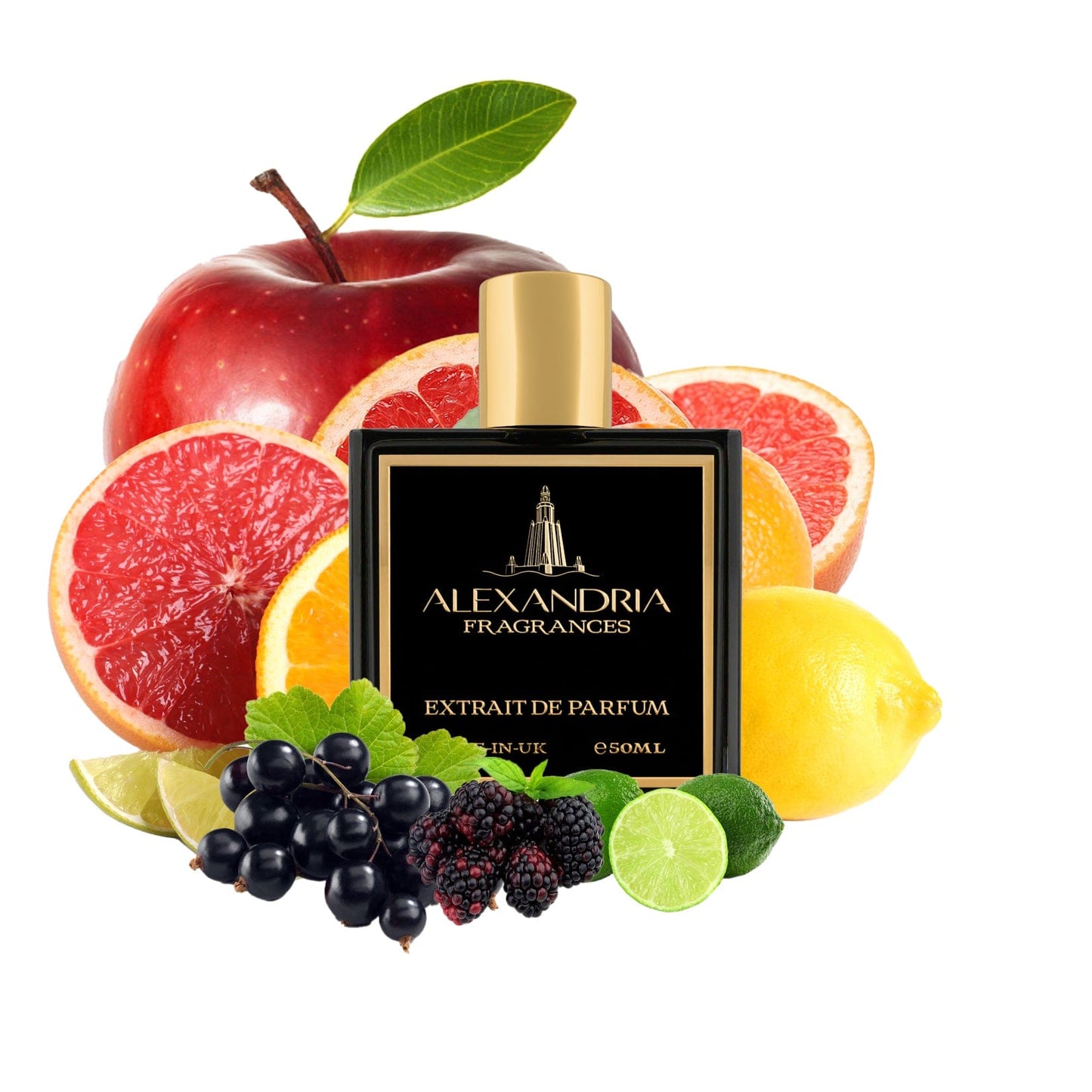 Zion Inspired By Roja's Elysium