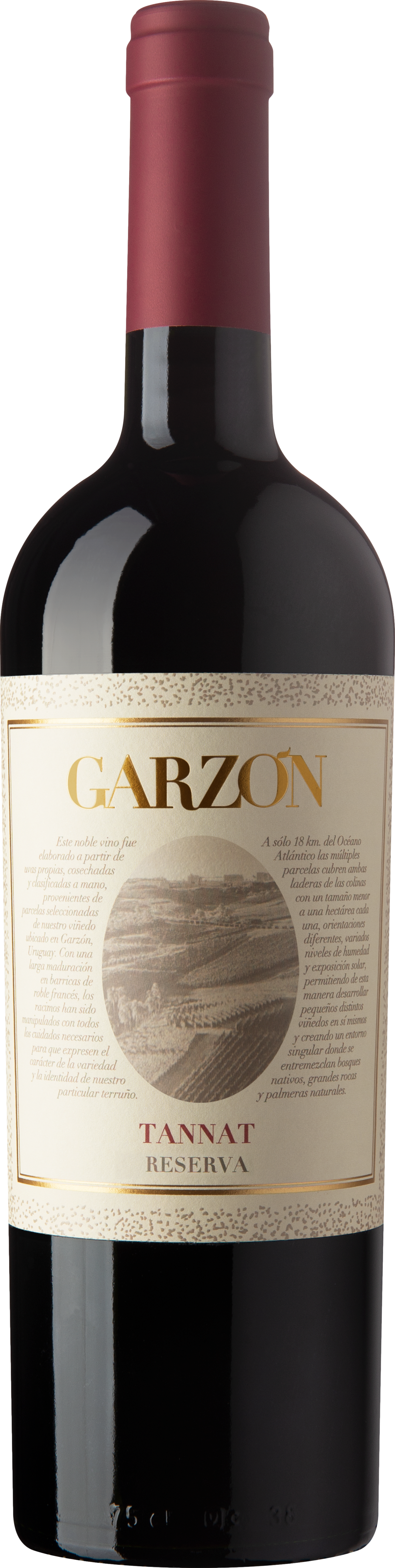 Bodega Garzon Reserva Tannat 2022