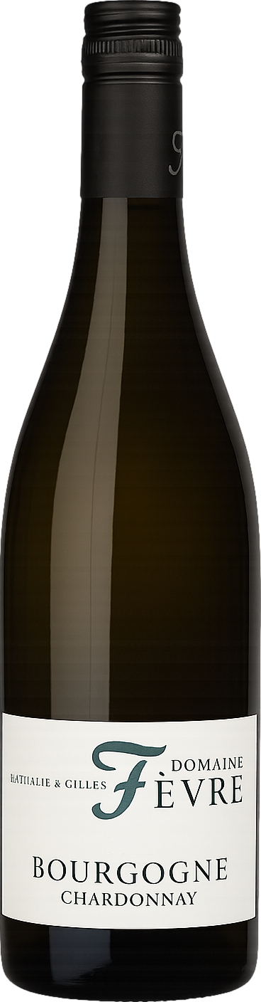Domaine Nathalie & Gilles Fevre Bourgogne Chardonnay 2023