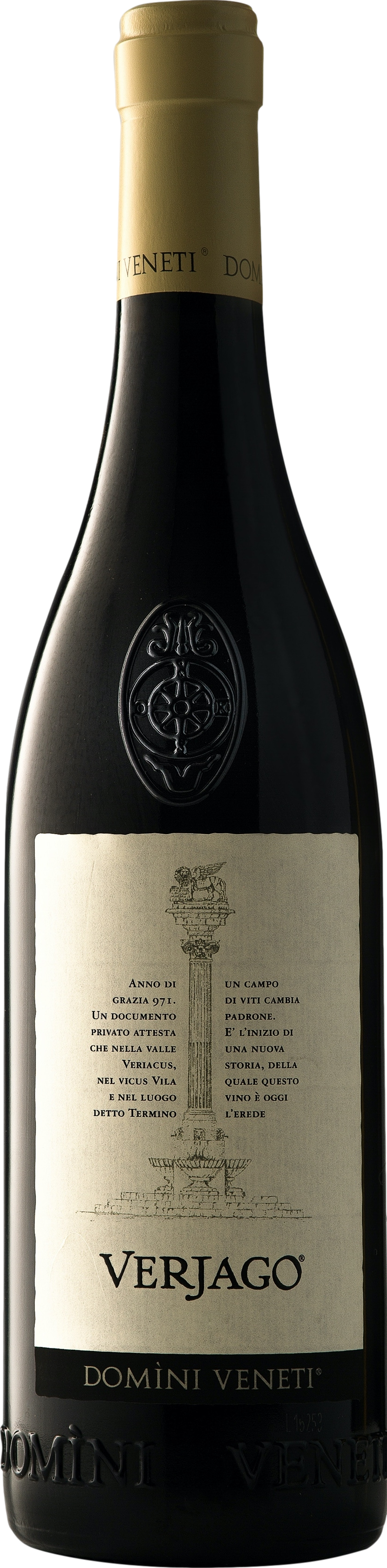 Domini Veneti Valpolicella Superiore Verjago 2023