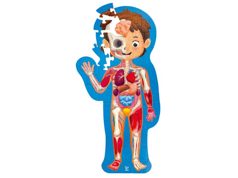 Hape XXL-Puzzle »Mein Körper«