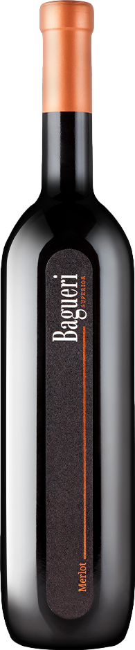 Klet Brda Bagueri Merlot 2020