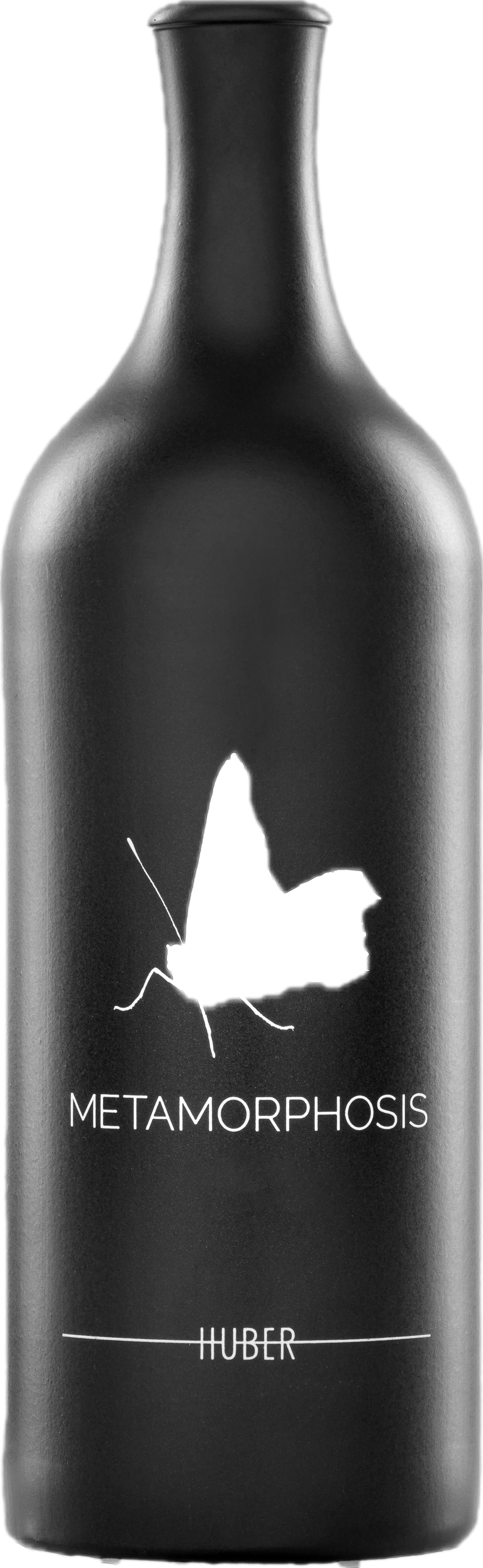 Markus Huber Metamorphosis 2022