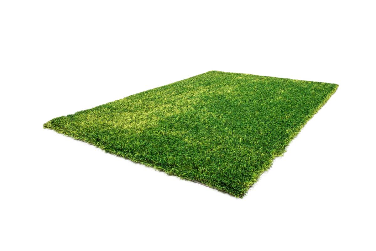 Funky 7280 Leo 120cm x 170cm