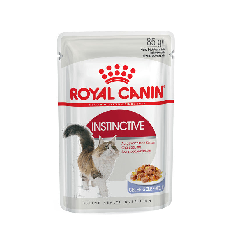 Royal Canin Feline Health Nutrition Instinctive in Gelee