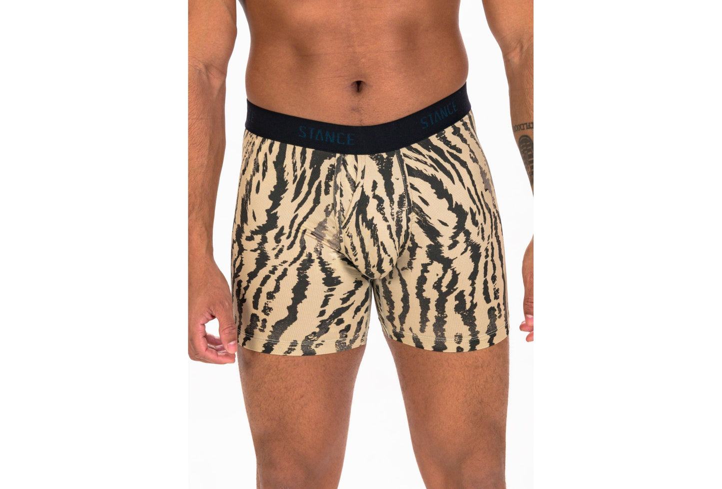 Rawr Wholester Boxer Brief Herren
