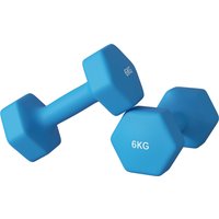 SPORTNOW Set 2 Hexagonale Hanteln 2x6 kg aus Metall und Kunststoff, 2 Hantelgewichte mit rutschfestem Griff, 22x10x10 cm, Blau Aosom